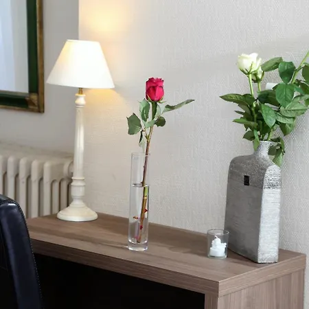 Logis L'ecu De France Hotel Mauriac (Cantal)